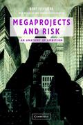 Megaprojects and Risk