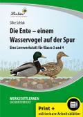 Die Ente - einem Wasservogel auf der Spur