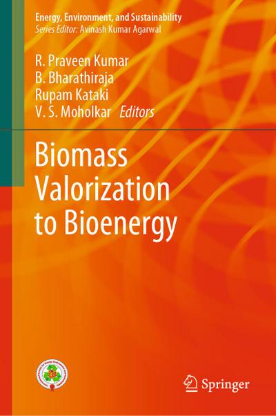 Biomass Valorization to Bioenergy
