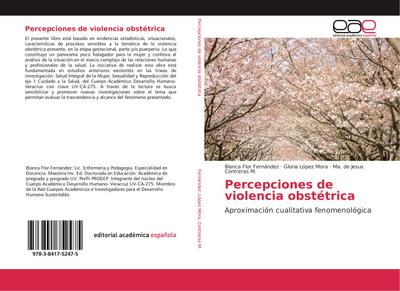 Percepciones de violencia obstétrica