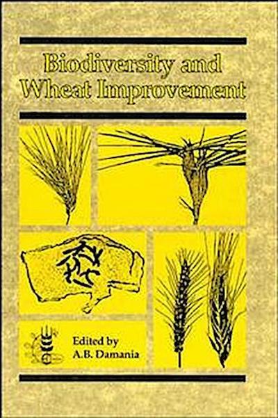 Biodiversity and Wheat Improvement