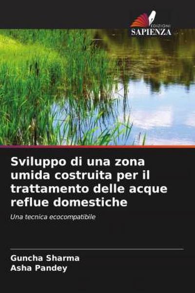 Sviluppo di una zona umida costruita per il trattamento delle acque reflue domestiche