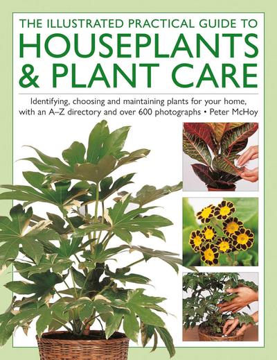 The Illustrated Practical Guide to Houseplants & Plant Care