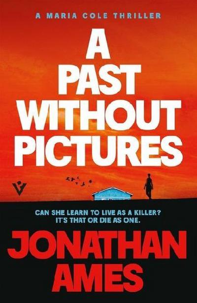 A Past Without Pictures