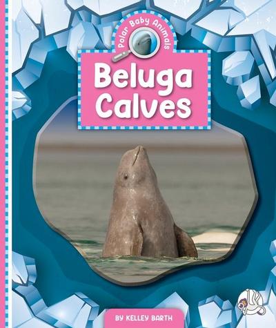 Beluga Calves