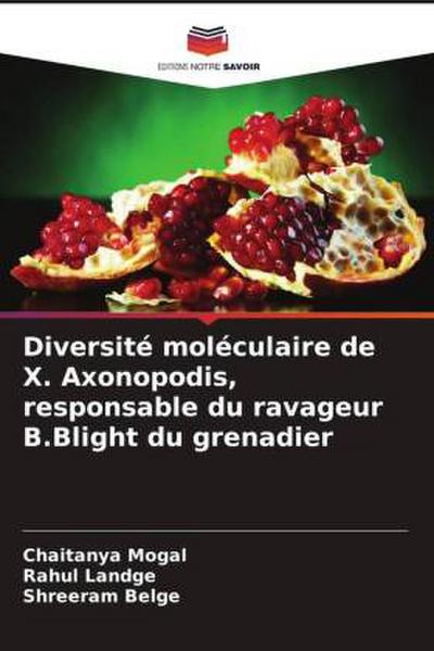 Diversité moléculaire de X. Axonopodis, responsable du ravageur B.Blight du grenadier