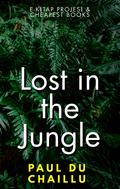 Lost in the Jungle
