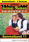 Heimat-Roman Treueband 11