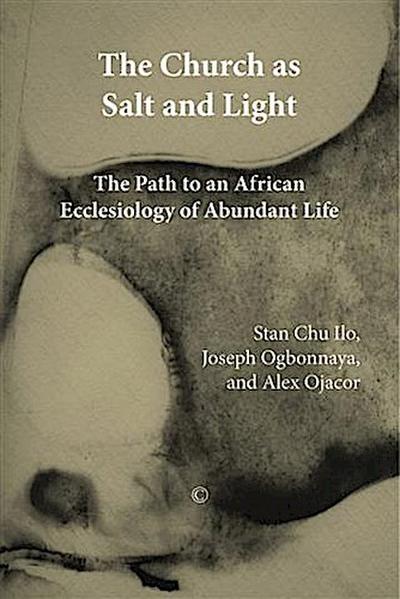 Church as Salt and Light