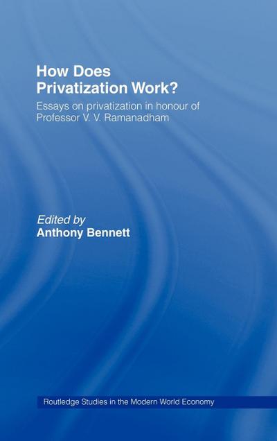 How Does Privatization Work?