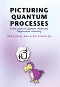 Picturing Quantum Processes