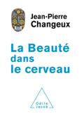 La Beaute dans le cerveau