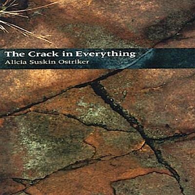 The Crack In Everything