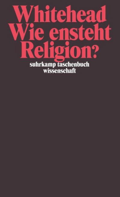 Wie entsteht Religion?