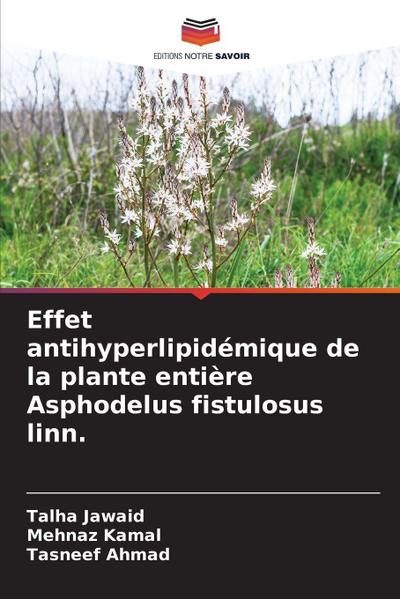 Effet antihyperlipidémique de la plante entière Asphodelus fistulosus linn.