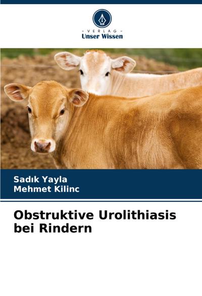 Obstruktive Urolithiasis bei Rindern