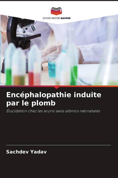 Encéphalopathie induite par le plomb