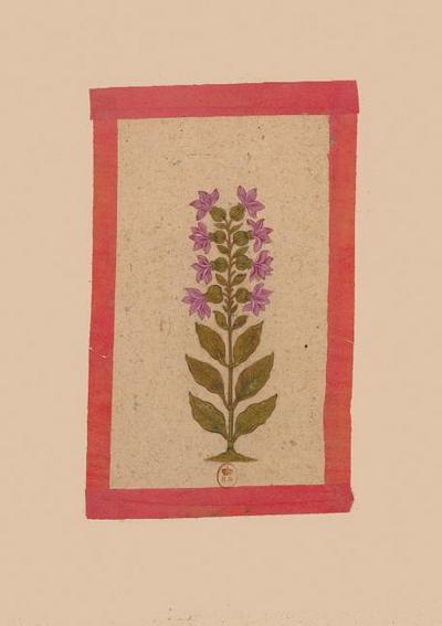Carnet Ligné Fleur 2, Miniature Indienne 18e Siècle