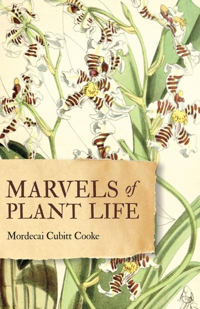 Marvels of Plant Life