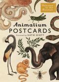 Animalium Postcards