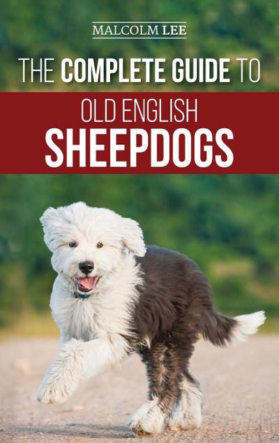 The Complete Guide to Old English Sheepdogs