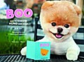 Boo - Der süßeste Hund der Welt