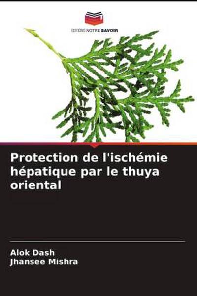 Protection de l’ischémie hépatique par le thuya oriental