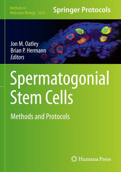 Spermatogonial Stem Cells