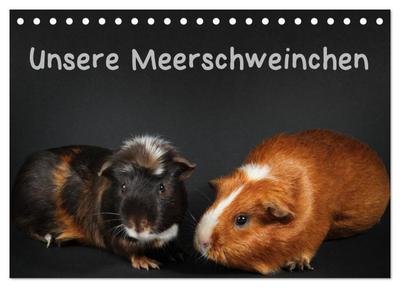 Unsere Meerschweinchen (Tischkalender 2026 DIN A5 quer), CALVENDO Monatskalender