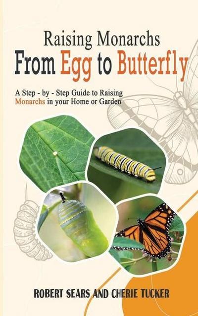 Raising Monarchs from Egg To Butterfly