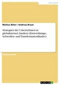Strategien der Unternehmen in globalisierten Lände