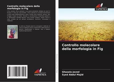 Controllo molecolare della morfologia in Fig