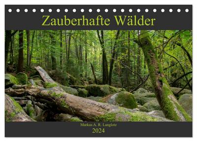 Zauberwelt Wald (Tischkalender 2024 DIN A5 quer), CALVENDO Monatskalender