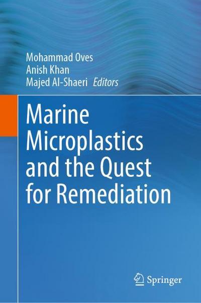 Marine Microplastics and the Quest for Remediation