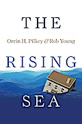 Rising Sea