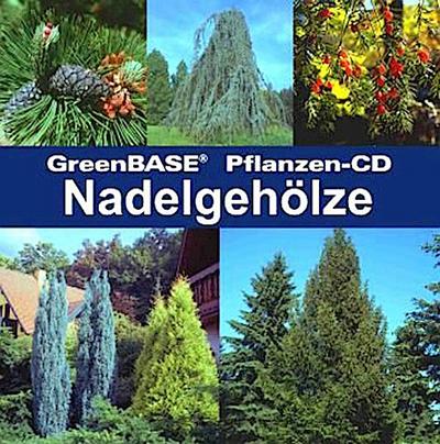 GreenBASE-Pflanzen-CD/Nadelgehölze