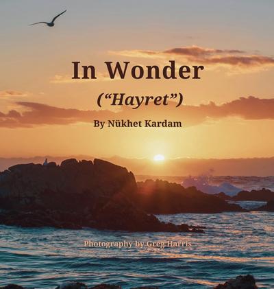 In Wonder ("Hayret")
