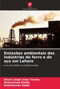Emissões ambientais das indústrias do ferro e do aço em Lahore