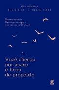 Você chegou por acaso e ficou de propósito