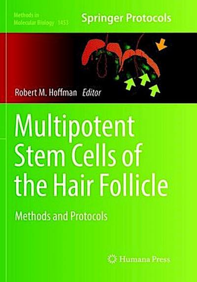 Multipotent Stem Cells of the Hair Follicle