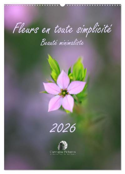 Fleurs en toute simplicité - Beauté minimaliste (Calendrier mural 2026 DIN A2 horizontal), CALVENDO calendrier mensuel