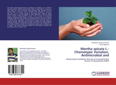 Mentha spicata L.: Chemotypic Variation, Antimicrobial and