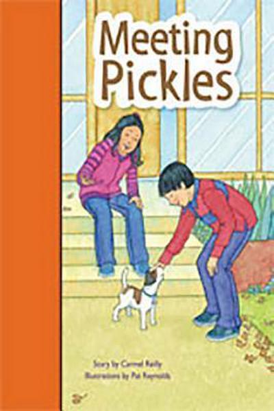 Meeting Pickles: Individual Student Edition Orange