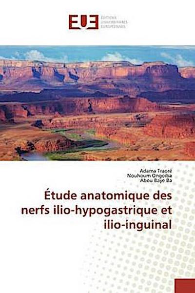 Étude anatomique des nerfs ilio-hypogastrique et ilio-inguinal