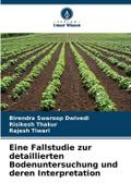 Eine Fallstudie zur detaillierten Bodenuntersuchun