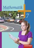 Mathematik - Ausgabe 2013 für die Sekundarstufe I 