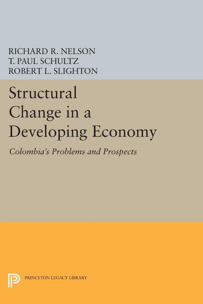 Structural Change in a Developing Economy