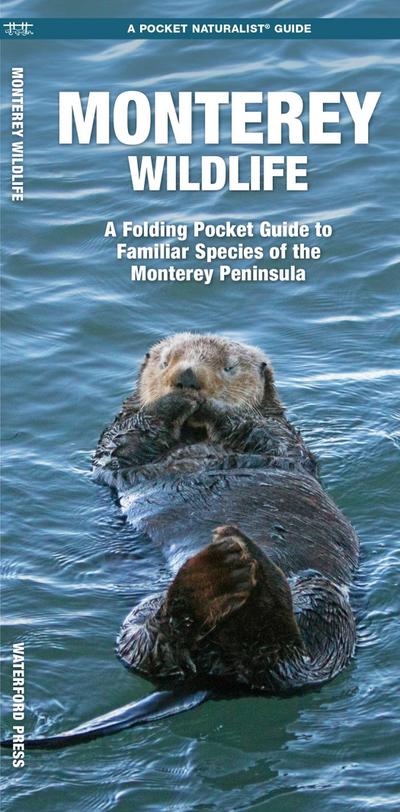 Monterey Wildlife