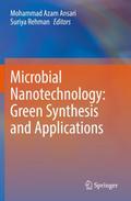 Microbial Nanotechnology: Green Synthesis and Applications