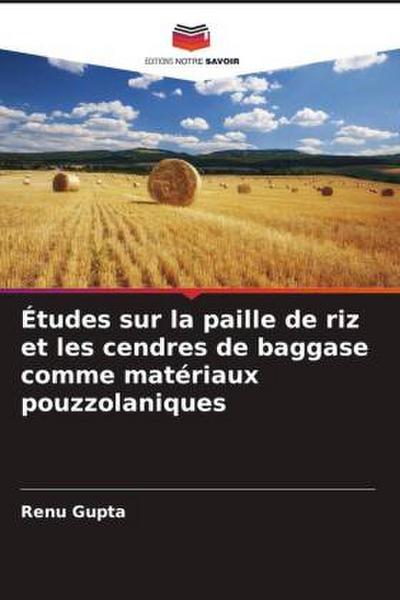 Études sur la paille de riz et les cendres de baggase comme matériaux pouzzolaniques
